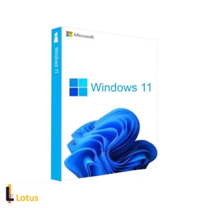 Windows 11 original Pack
